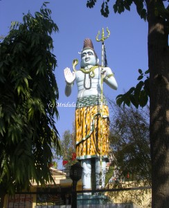 Lord Shiva's Idol Chandigarh