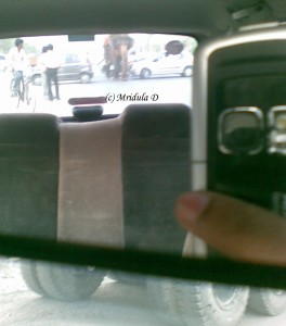 Elephant in my rear view mirror