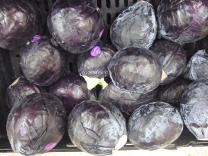 Purple Cabbages at Sainsbury Lancaster