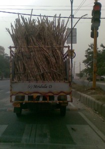 Sugarcanes being transported in Gurgaon