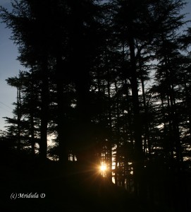 Sunset Naldhera, Himachal Pradesh