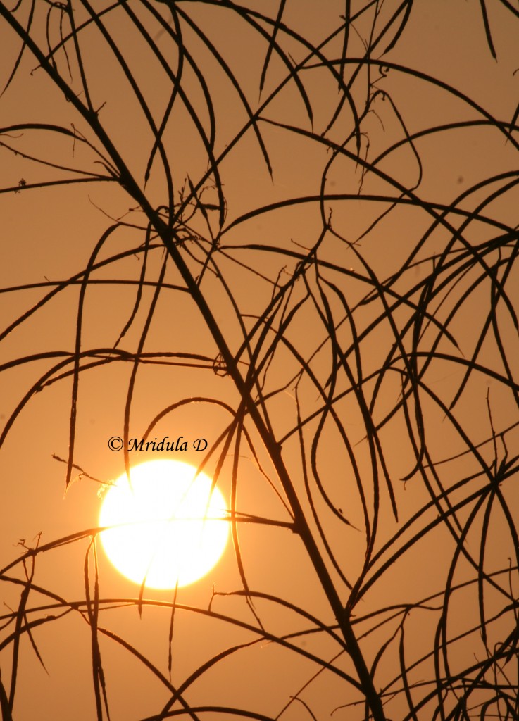 Evening Sun at Gurgaon