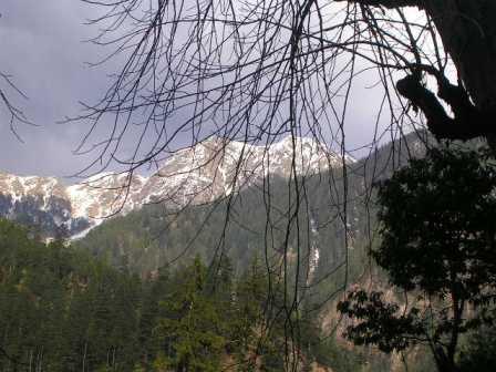 View from Shringi Vatika, Himachal Pradesh