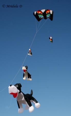 Doggie Kite, Morecambe Kite Festival