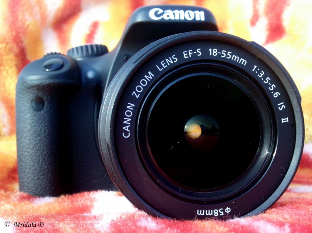 Canon D550 SLR