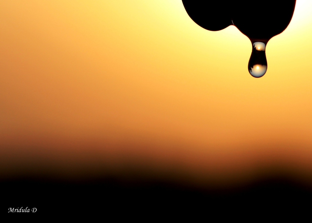 A Water Drop Against the Sunset