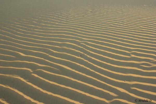 Sand Dunes at Jaisalmer, Rajasthan