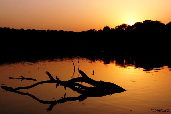 Sunset at Kauz Khas Lake, New Delhi, India