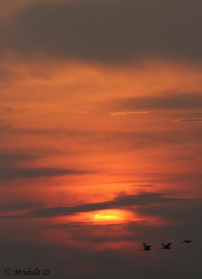 Sunset at Noida