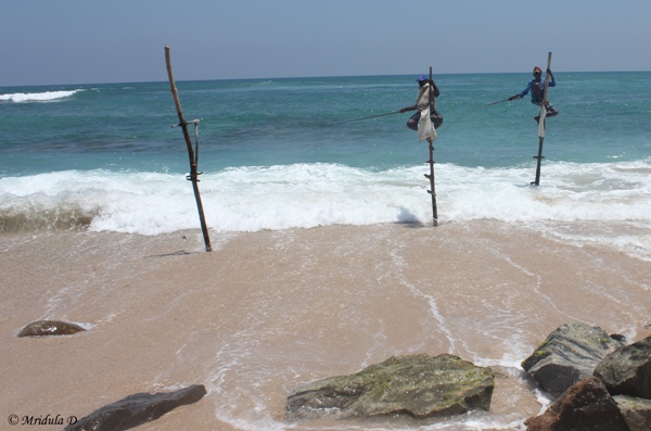 Stick Fishing, Sri Lanka 