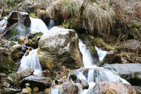 The Waterfall within Shringi Vatika Premises