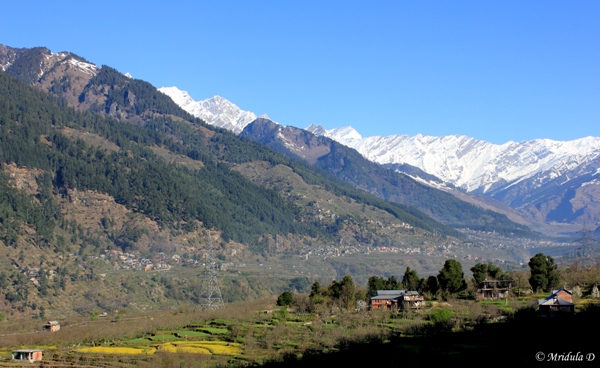 Blue Skies and Snow Capped Mountains, Jagatsukh, Himachal Pradesh