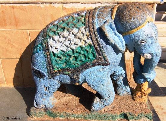 An Elephant at the Narayan Sarovar Temple, Kutch, Gujarat