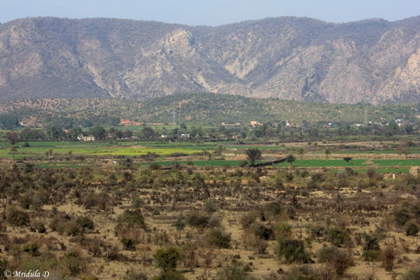 Village inside Sariska Tiger Reserve