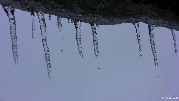 Icicles against a Grey Sky