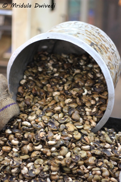 inside cashew plant