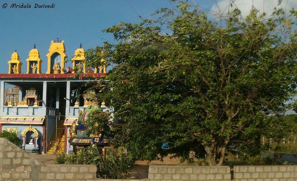 temple-trincomalee