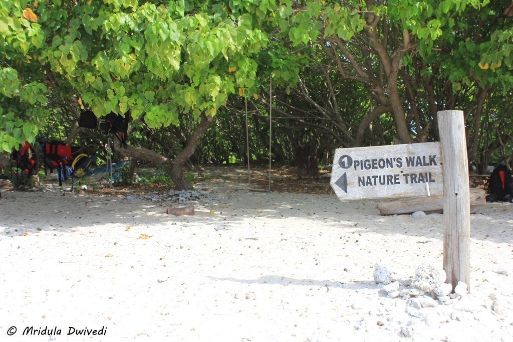 pigeon-island-trincomalee