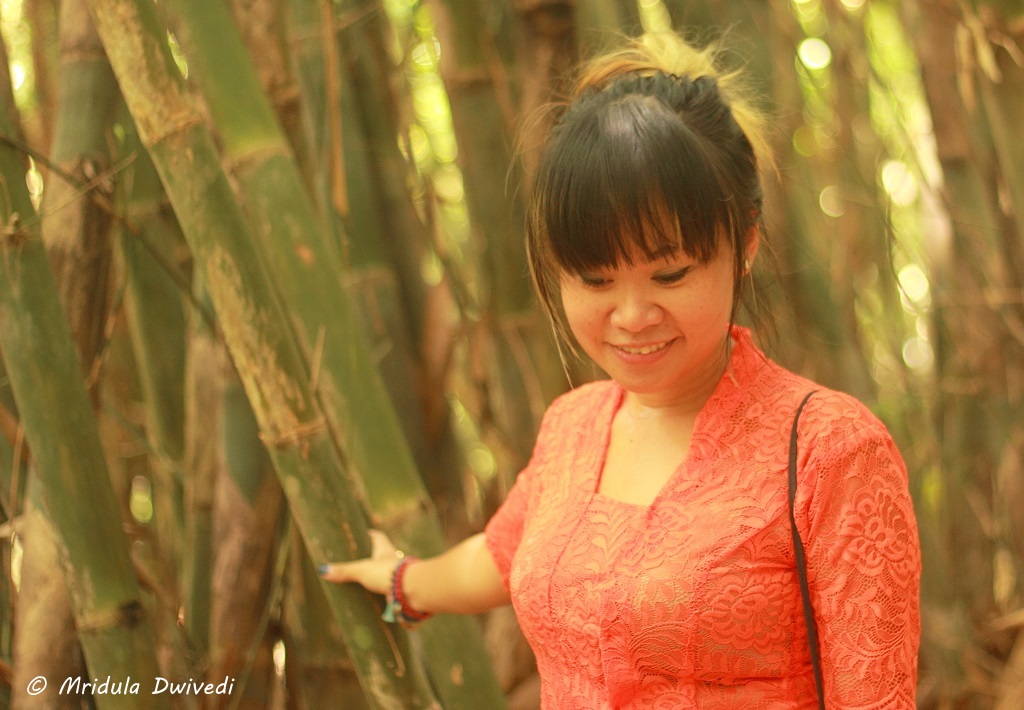 bamboo-forest-bali