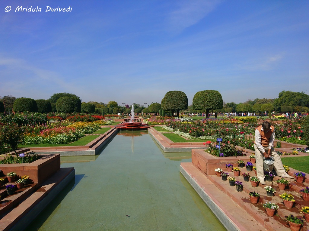 delhi-mughal-gardens