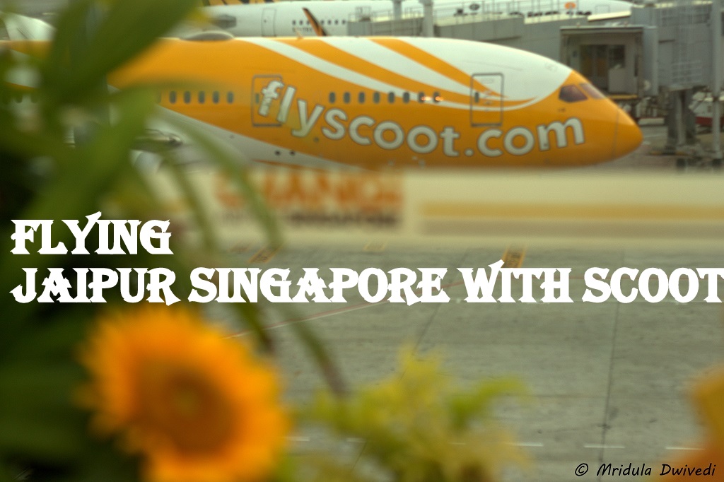fly-scoot-jaipur-Singapore