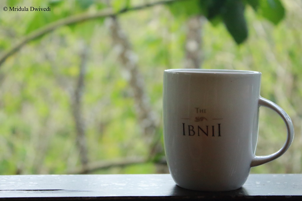 tea-ibnii-coorg