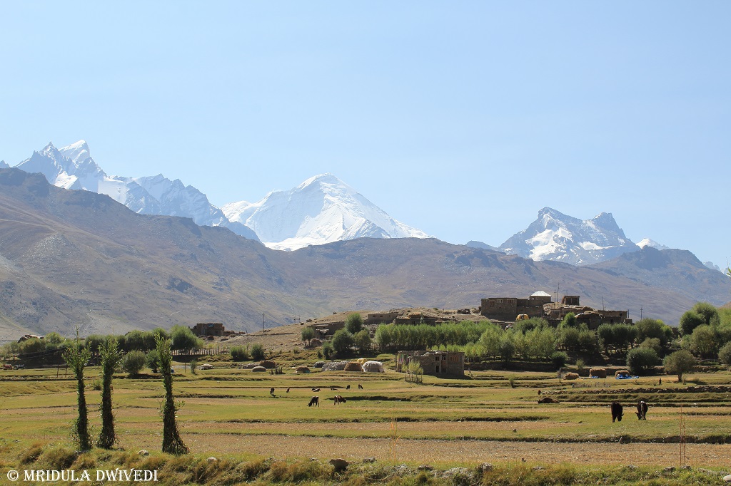 A beautiful view of the snow capped mountains at Namsuru Village in Kargil District