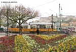 trams-budapest