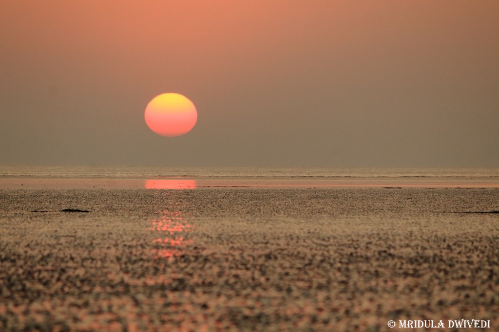 Sunset at Mandvi Beach, Gujarat, India