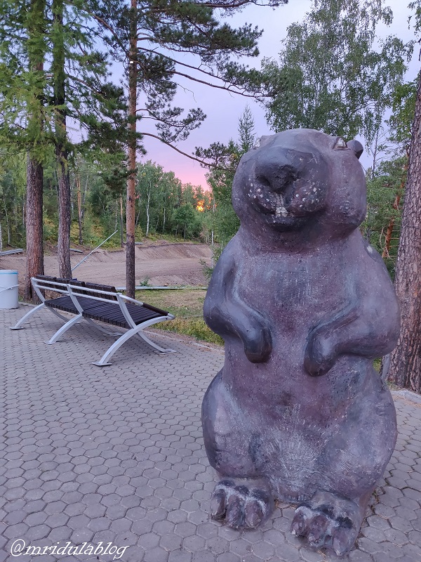 bear-siberia