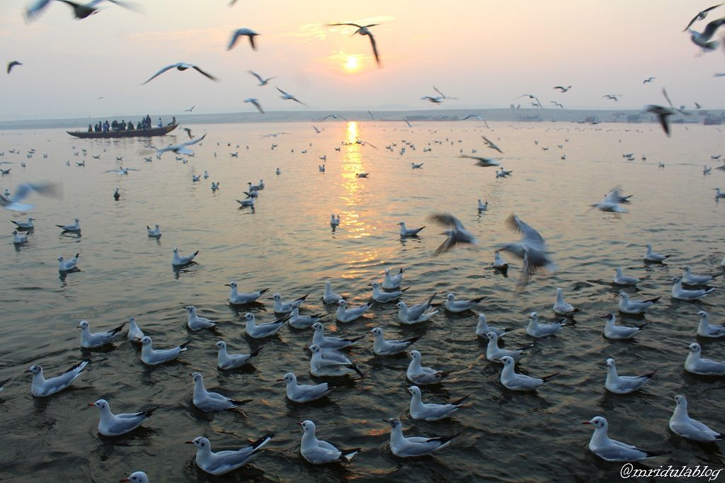 Sunrise at the River Ganga at Banaras