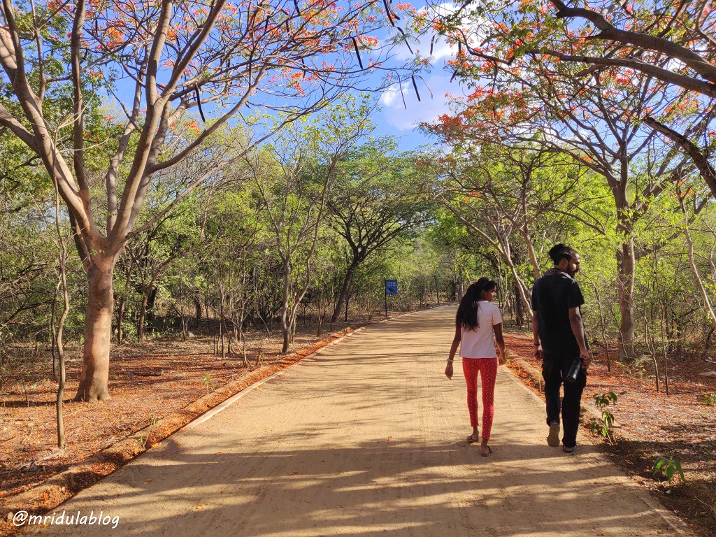 Beautiful KBR Park, Hyderabad, Telangana