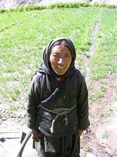 A woman working in her field, Ganda La, Ladakh