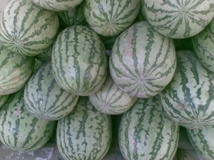 water melons in Gurgaon summers