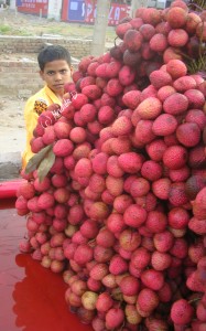 Litchi Lychee Fruit, India