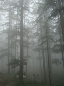 Mist at Naldhera HP