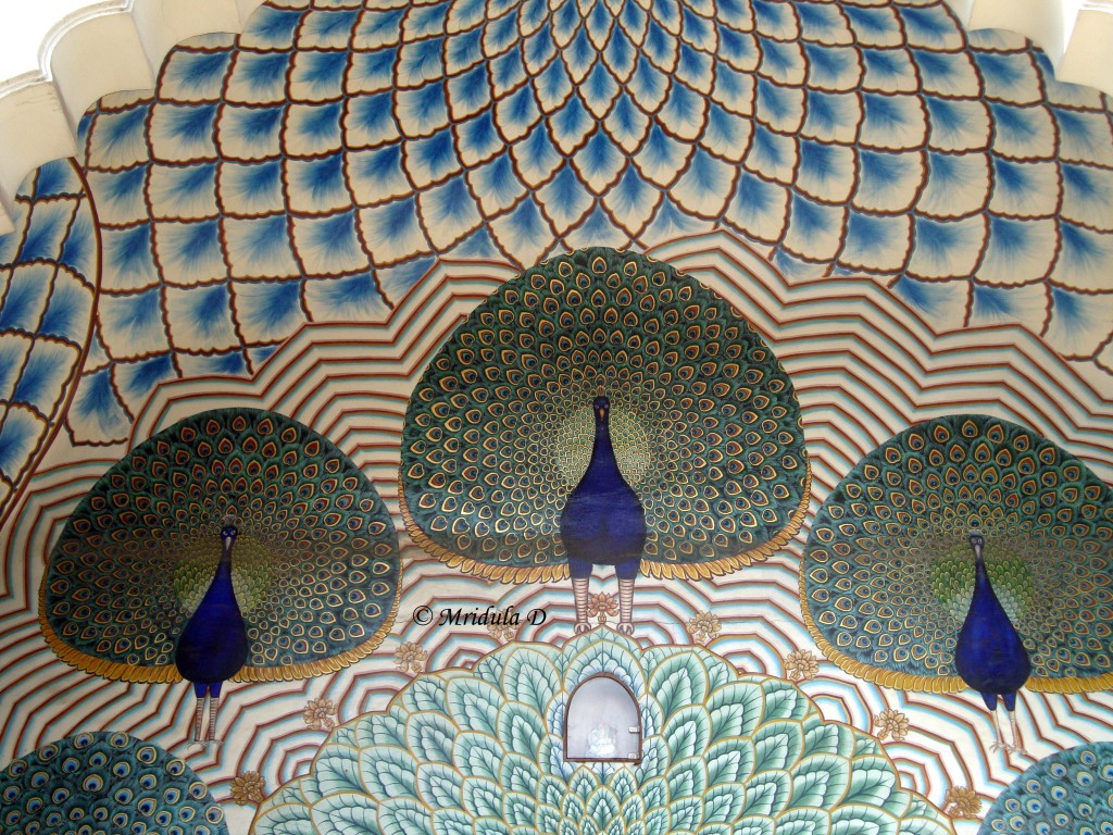 Peacock mural Jaipur Rajasthan