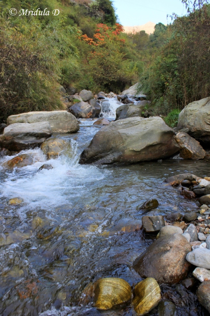 Waterfall near the Road to Prini, Himachal Pradesh