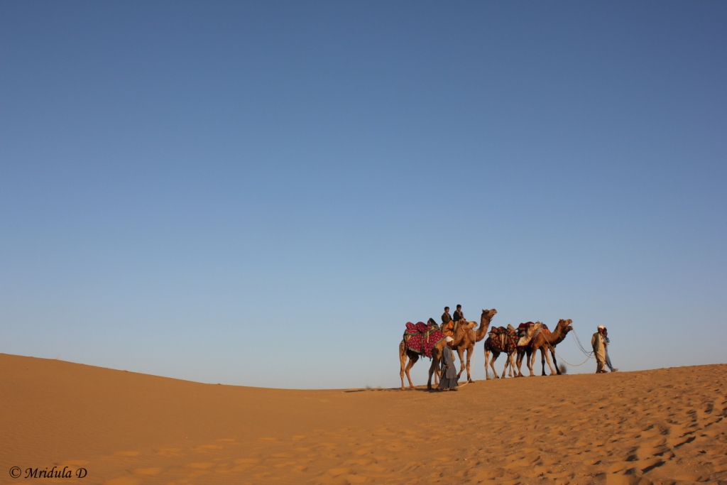 Camel Men, Kids and Camels Going Home, Lakhmana Sand Dunes Jaisalmer