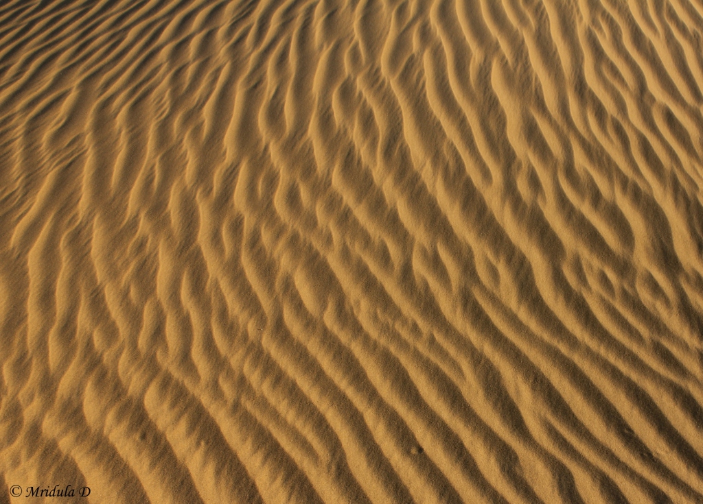 Patterns on Sand Dunes, Jaisalmer