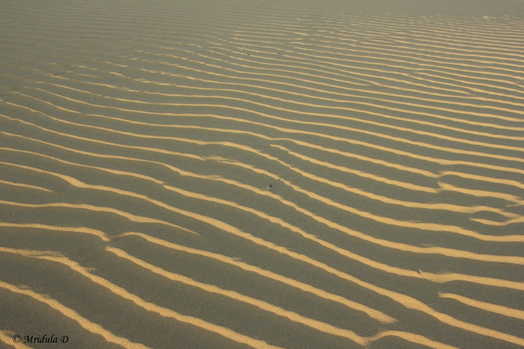 Sand Dune Patterns, Jaisalmer