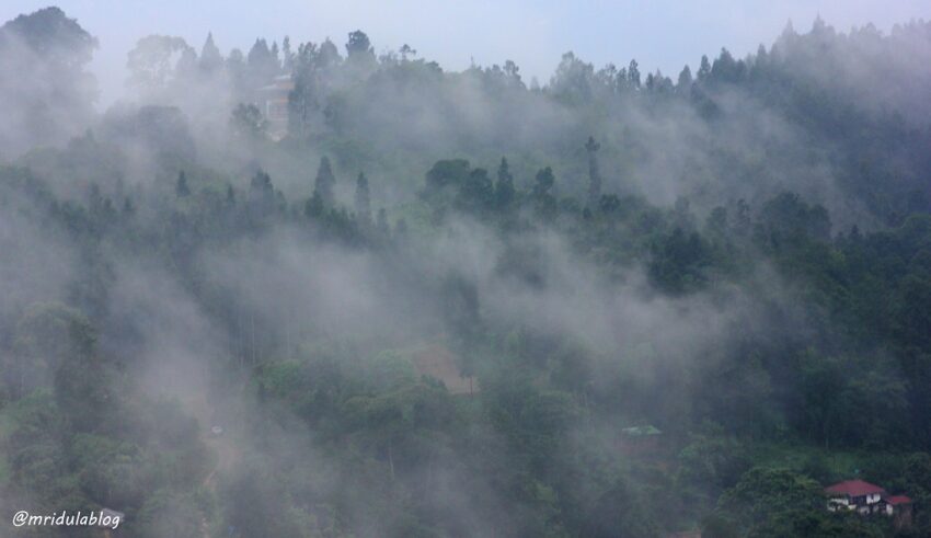 Misty Mountains at Baiguney, Sikkim, India