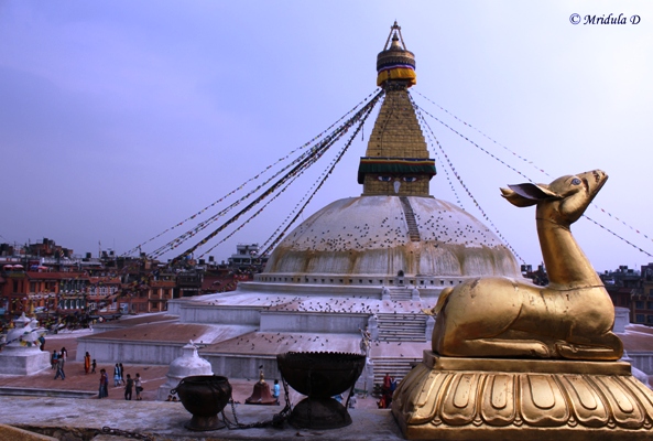 3,959 Boudhanath Stupa Stock Photos, High-Res Pictures, and Images - Getty  Images | Angkor wat, Bayon temple, Haridwar