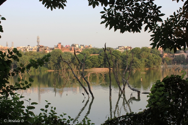 A View of Hauz Khas by from the Lake, Delhi