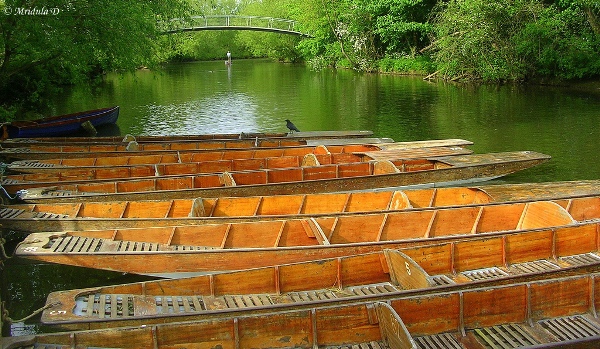 Punt Boats at the Cherwell River, Oxford, UK