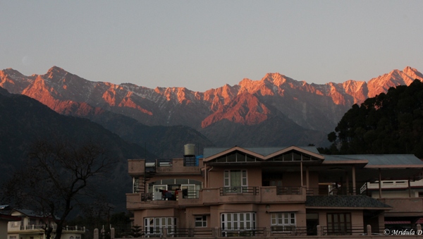 Dhauladhar Mountains, Palampur, Himachal Pradesh, India