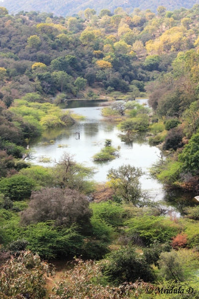 Rawli Tatgarh Wildlife Sanctuary, Rajasthan - Travel Tales from India ...