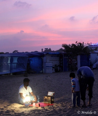 A Fortune Teller at Marina Beach, Chennai