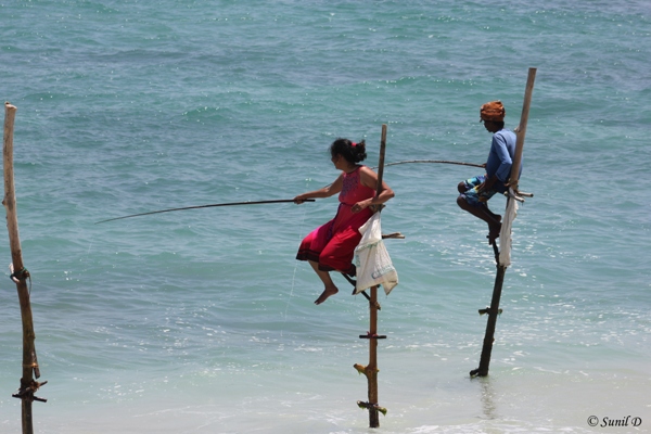 A Fisherman and a Tourist doing Stick Fishing, Koggala, Sri Lanka