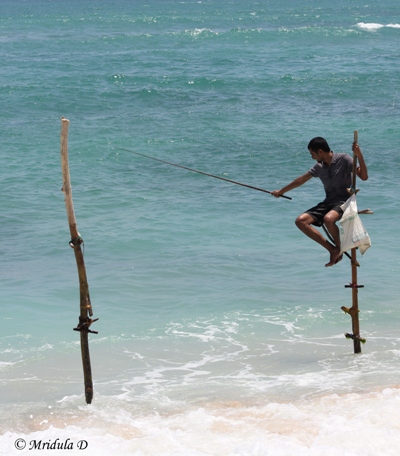 A Tourist Doing Stick Fishing, Sri Lanka